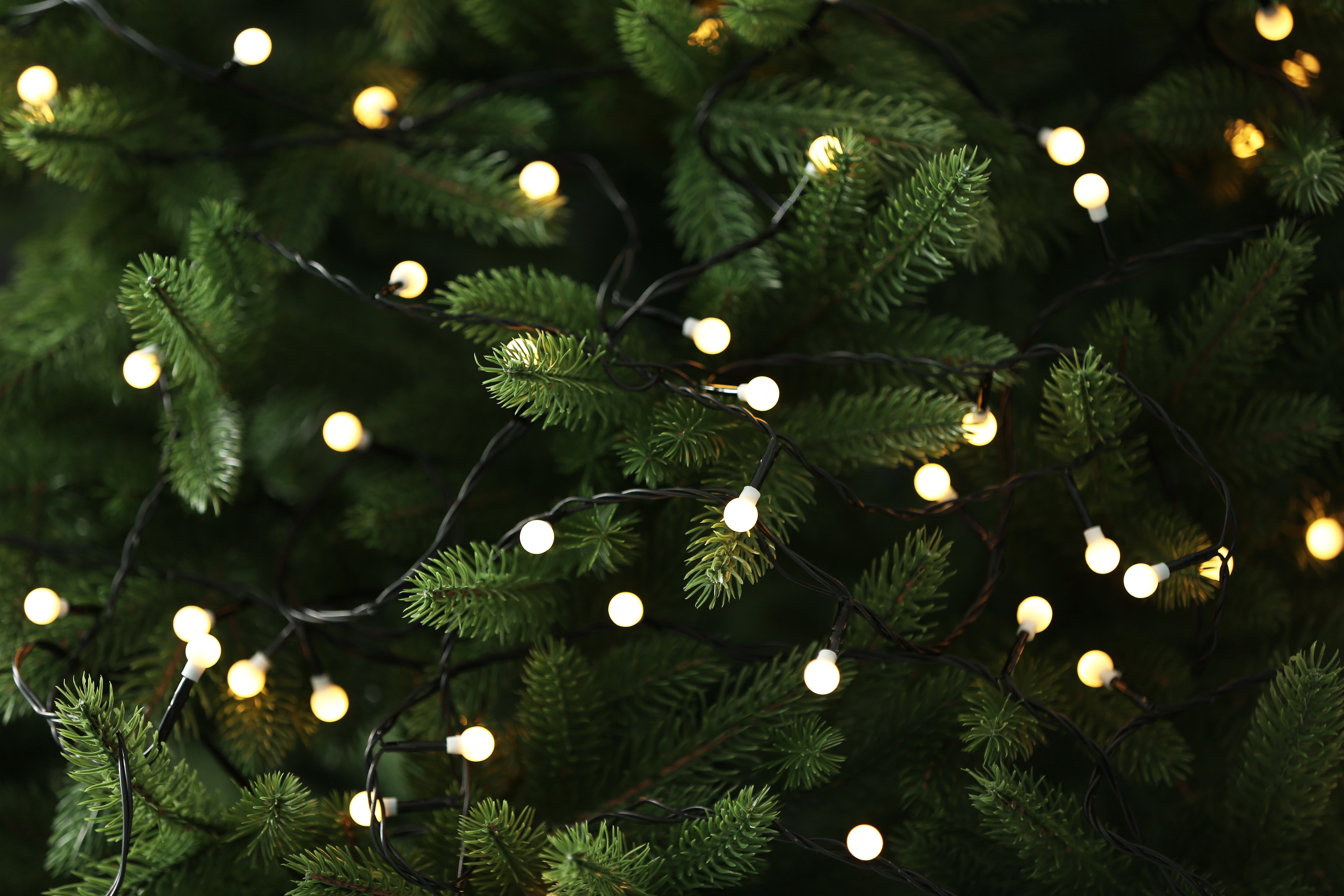 Christmas tree safety tips