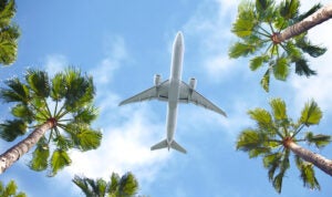 Plane in sky over trees