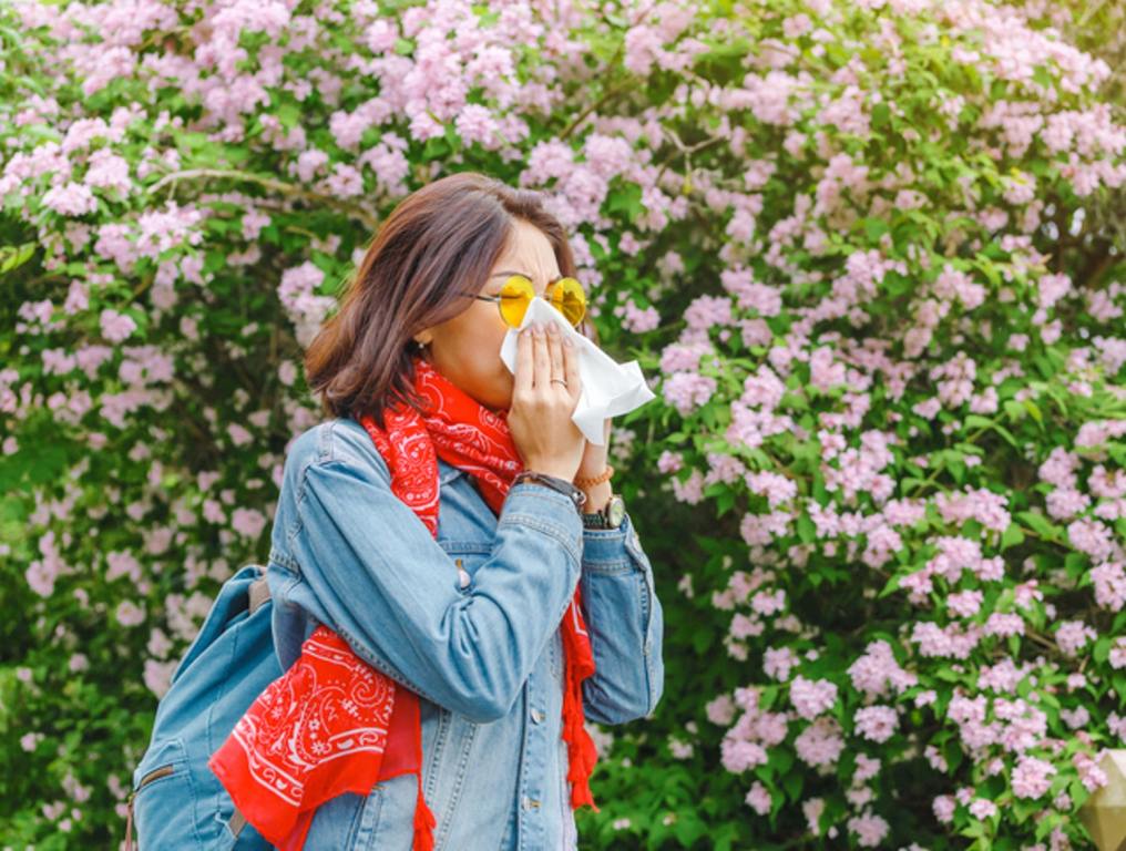 Allergy concept. Young asian woman sneezes and blowing her nose with a handkerchief and suffering in the spring among flowering and blooming trees.