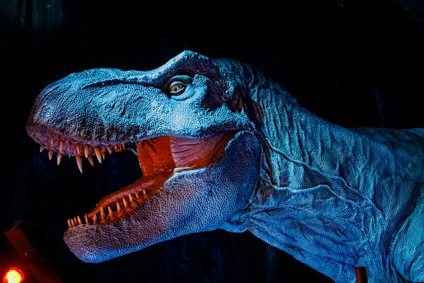 A robot dinosaur is seen at the "Jurassic World: The Exhibition" Press Preview at Odysseum on March 30, 2023 in Cologne, Germany. Dinosaurs at the SChiele Museum