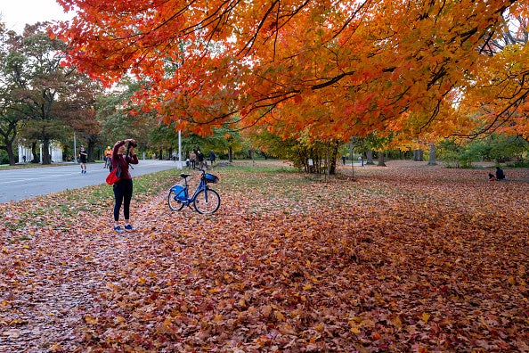 Fall color in North Carolina and When Is The Best Time To See It