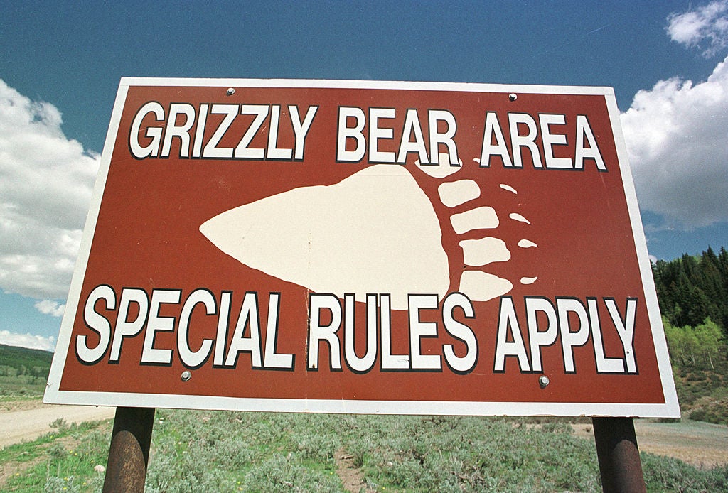 Grizzly Bear Area Special Rules Apply sign. Man Punches Grizzly Bear In The Face In British Columbia