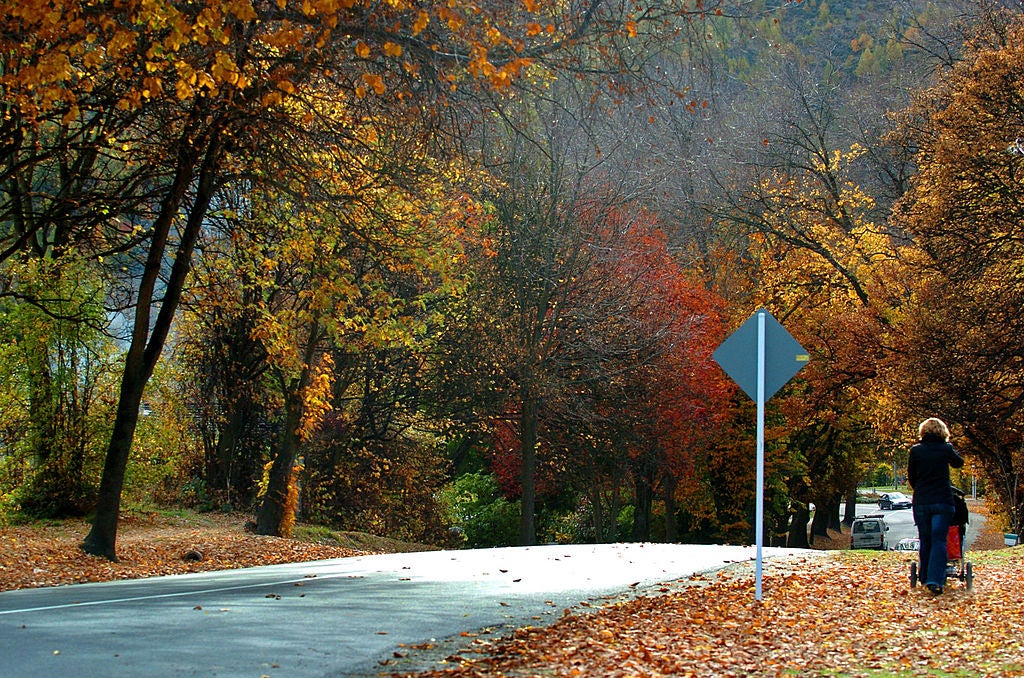 beautiful fall landscape on a winding road as greenville south carolina is named one of the best places to travel in September