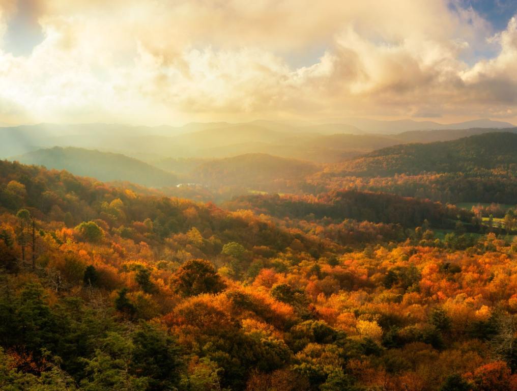 Beautiful fall leaves in North Carolina. Two North Carolina towns have been named one of the best for fall foliage in America by the experts at Reader's Digest.