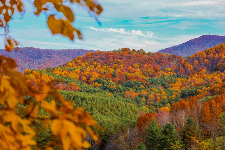 Fall colors in the Appalachian Mountains. North Carolina Fall Foliage