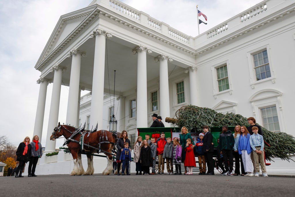 White House Christmas Tree 2024 Comes From Avery County