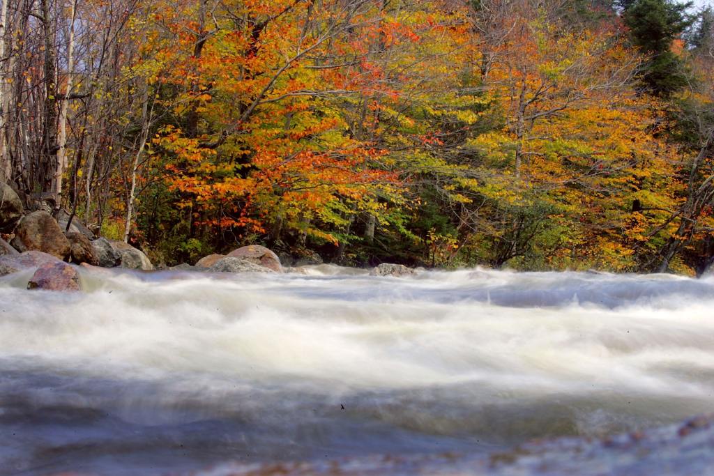 New Hampshire