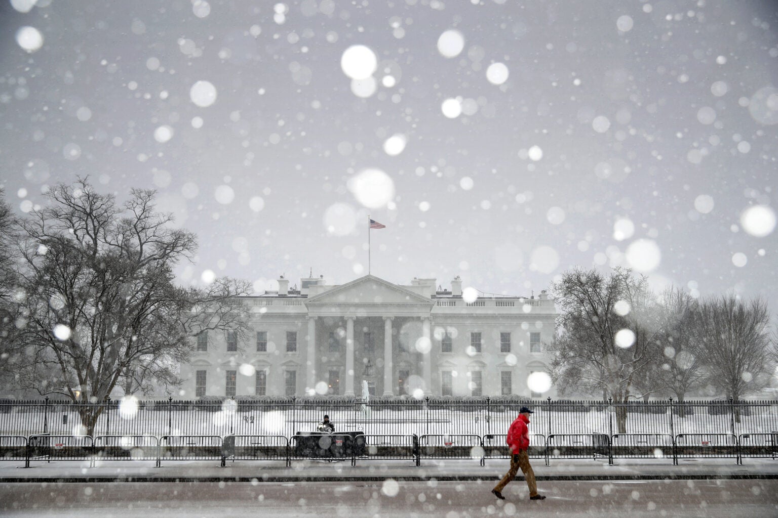 White House Winter of Death