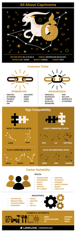 All About Capricorns Infographic