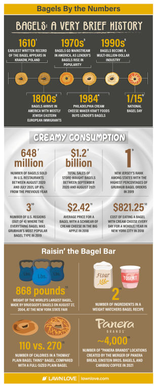 Bagels By the Numbers Infographic