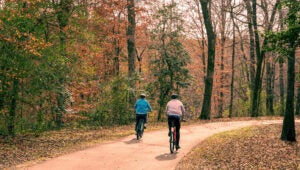 Biking in the Park