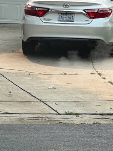 Sewer Smoke 